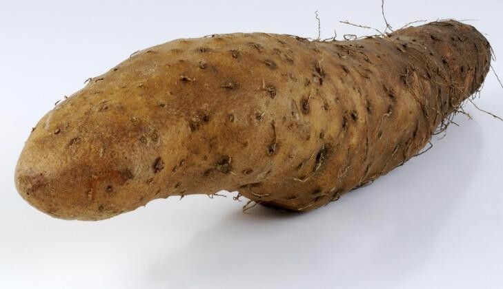 女人立春后多吃3种食物,从春到冬,一整年都滋补|多吃|山药|氨基酸