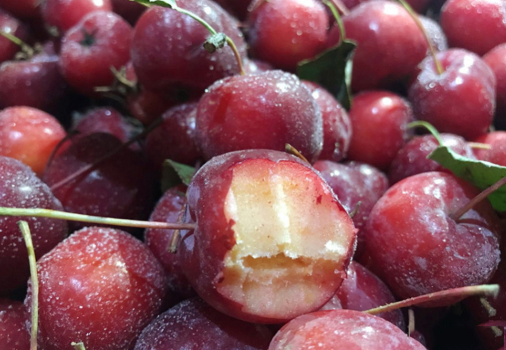 沙果,冻红花,冻海棠,味道都是酸甜的,东北人说微微带点冰碴吃,吃爽快