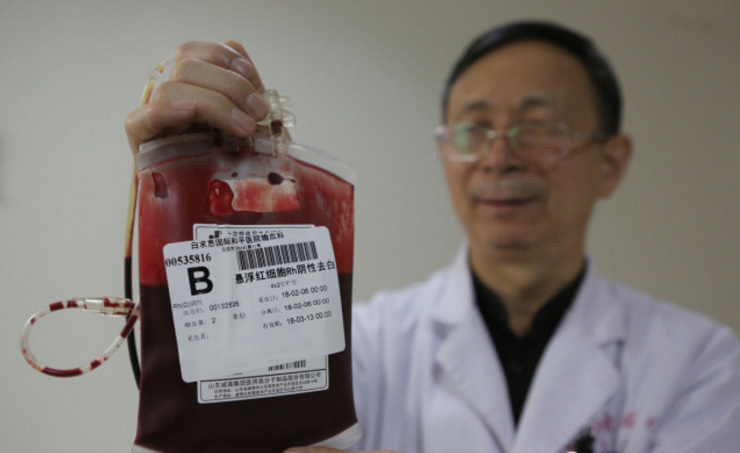 石家庄99岁老人急寻熊猫血 病床上盼过难关