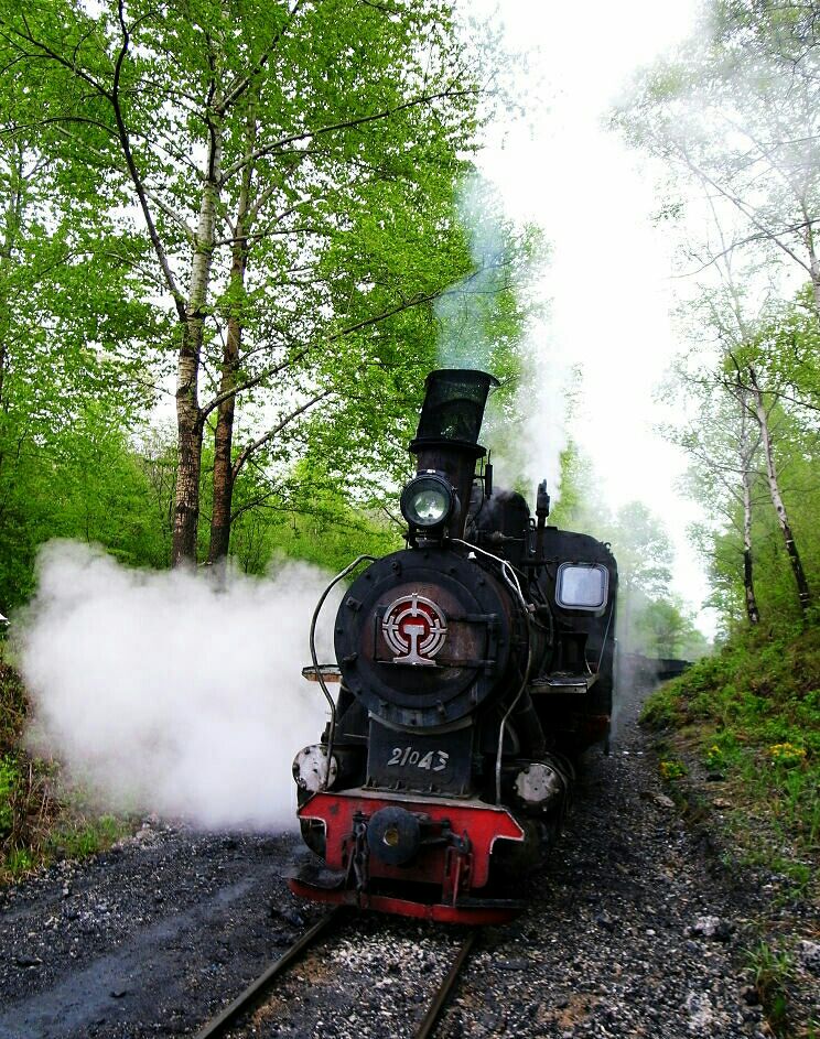 世界上最后一辆蒸汽小火车工业遗产与现代文明碰出火花