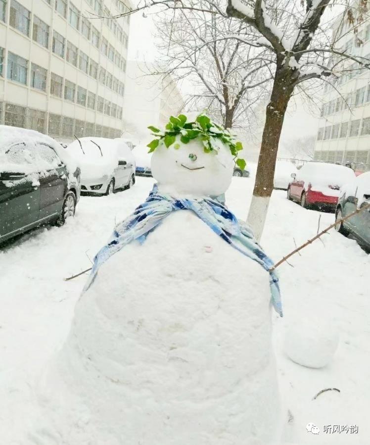 大雪後高校學生花式堆雪人,呆萌造型萌化你的冬日心!