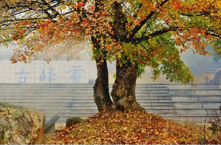 安吉的这些地名连起来，居然是一个爱情故事！美爆了！