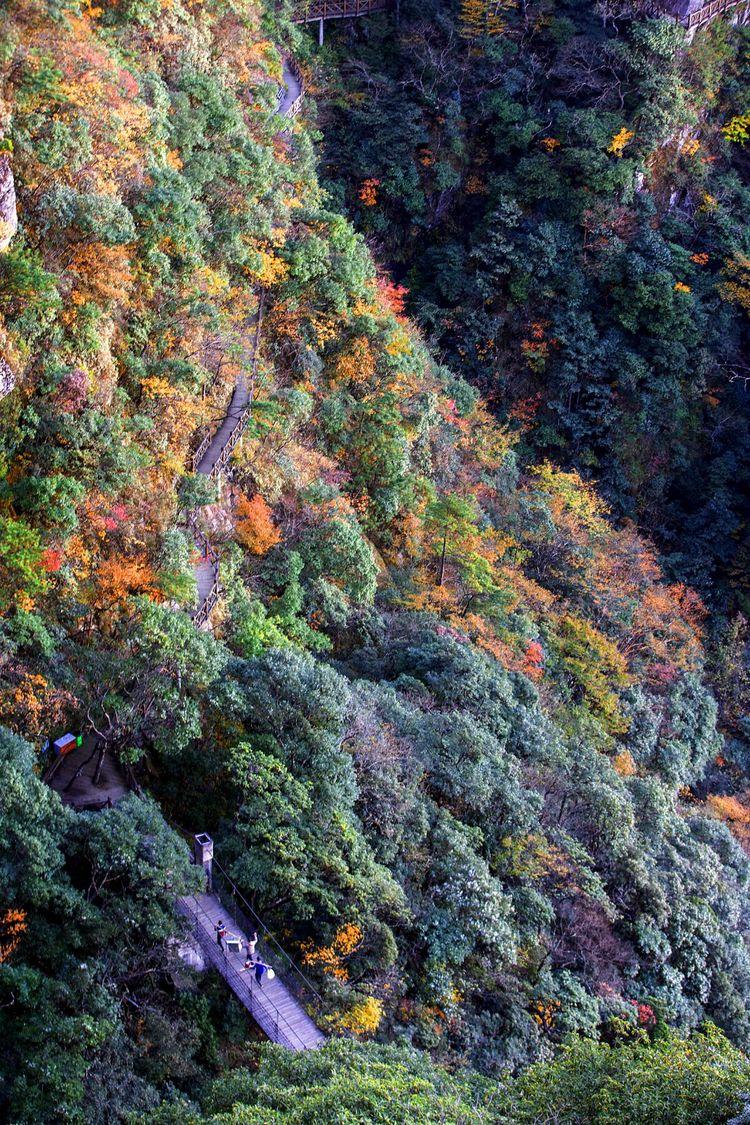 中国最美高山草甸武功山你去过吗