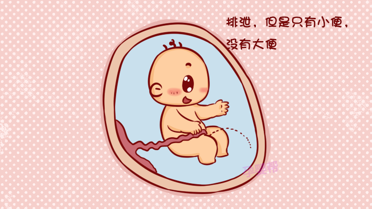 胎儿在母胎内排泄吗?