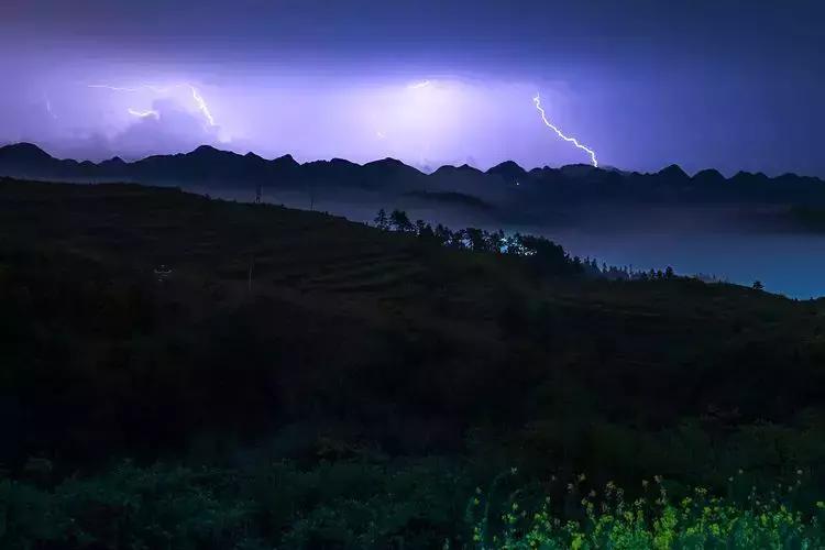 惊蛰|春雷一声响, 万物齐生长