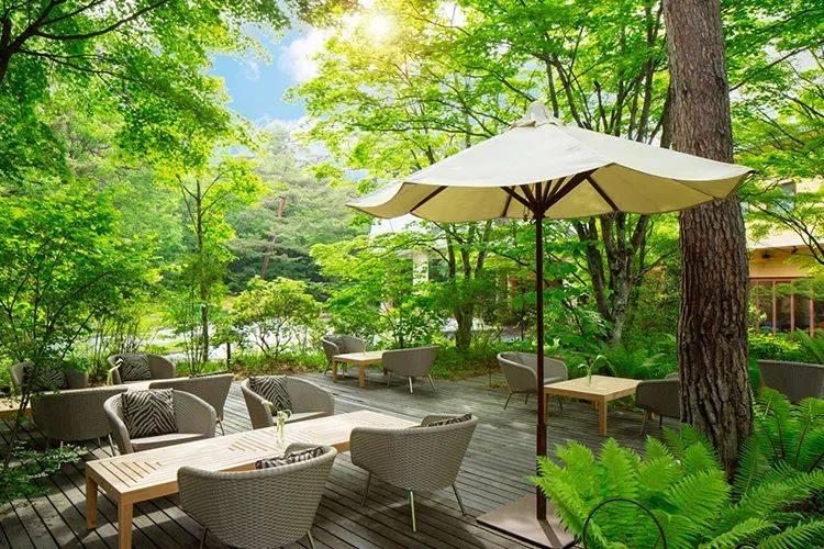 森林微景观下午茶-杂志推荐的东京优秀休闲场所