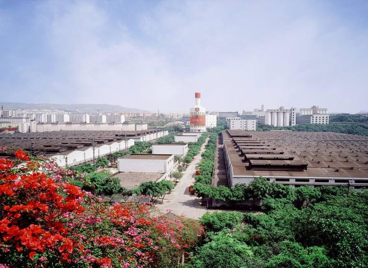 五粮液|机场|宜宾_新浪新闻