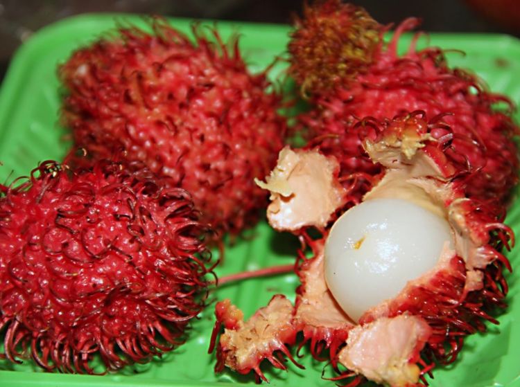 每天吃2颗"毛红丹",身体会收获4大好处,你知道吗?