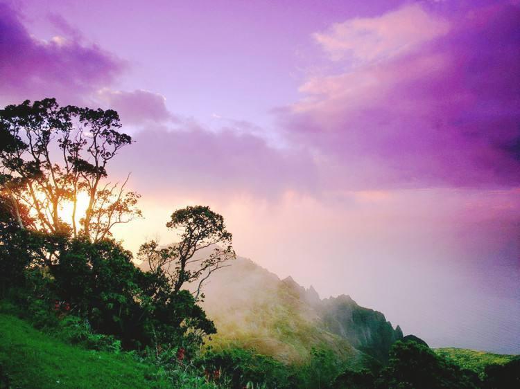 2017中国美术设计类专业大学排行榜