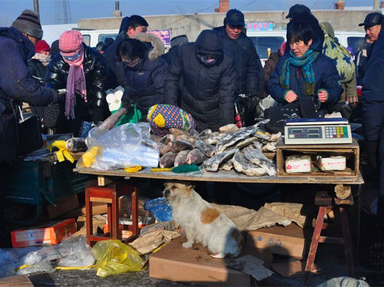张图看东北农村年货大集,不是东北人绝对看不懂