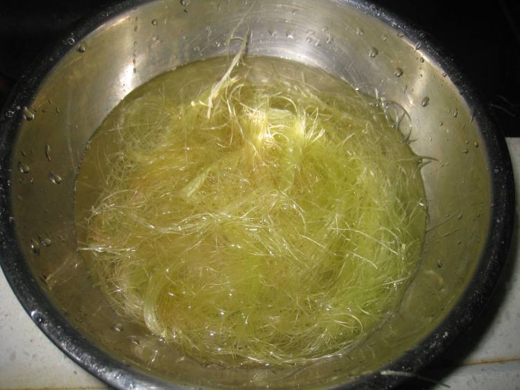 在吃玉米的时候,很多人都把它扔掉,其实它比玉米更有价值