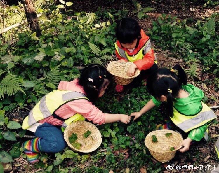 创造性的玩耍是大萝卜头无边界森林游学幼儿园孩子们