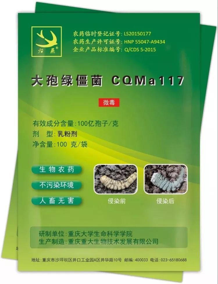 献身植保坚守初心:真菌生物农药专家王中康教授,殷幼平教授专访