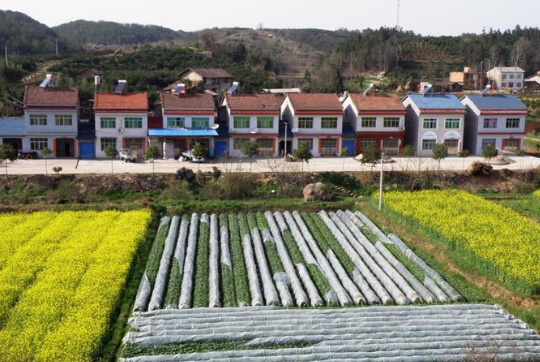 乡村振兴让农村土地、宅基地有望升值,征用时