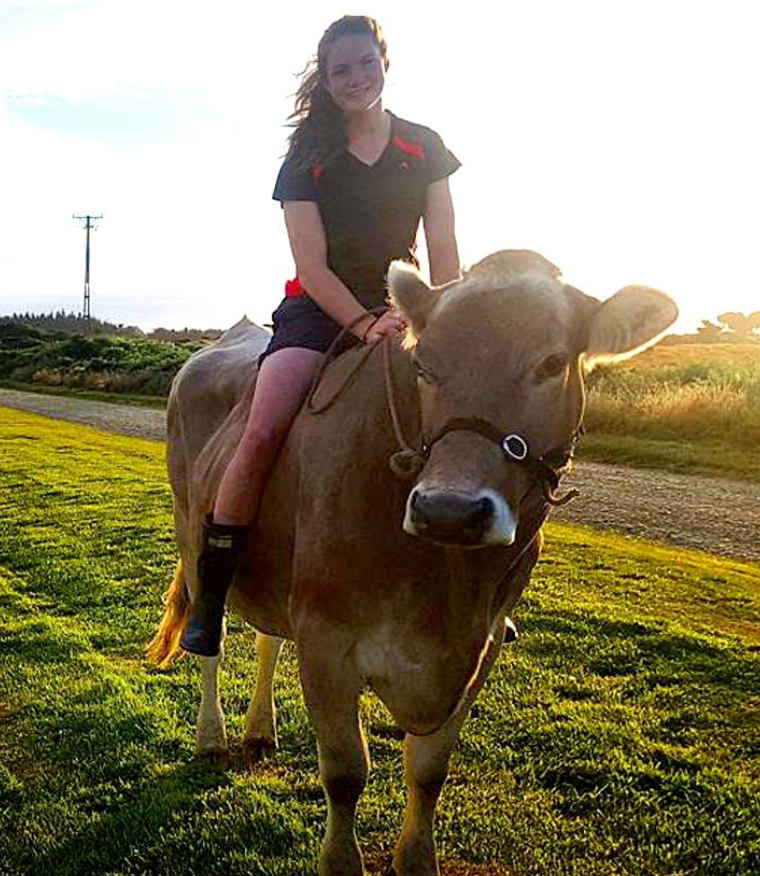 新西兰20岁女汉子把奶牛当马骑网友西方铁扇公主