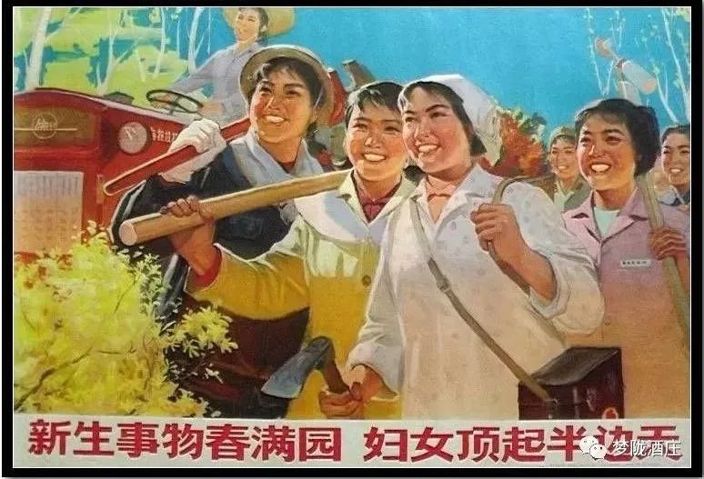 这一次,奥斯卡红毯摔跤女王终于站稳了