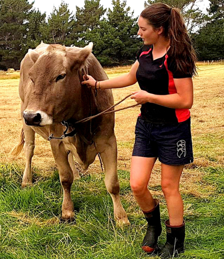 新西兰20岁女汉子把奶牛当马骑网友西方铁扇公主