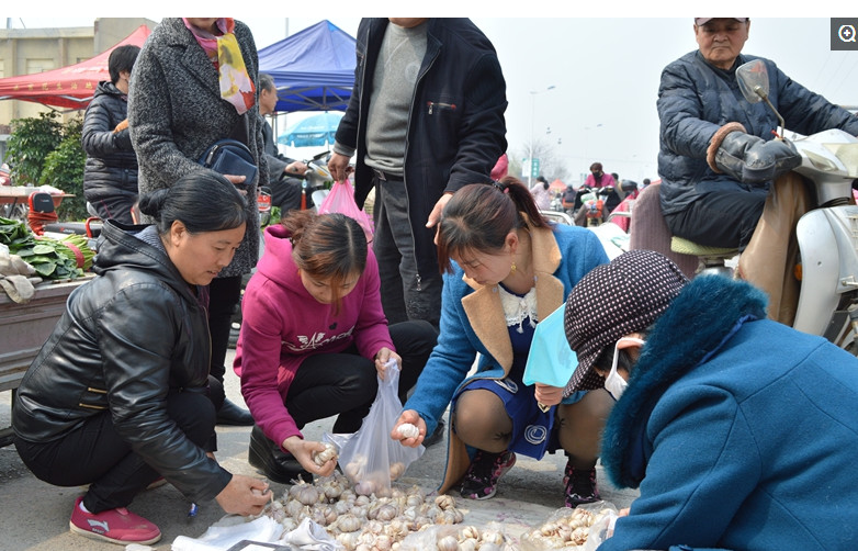 一组图,带你看看农村集市摆摊的一天!