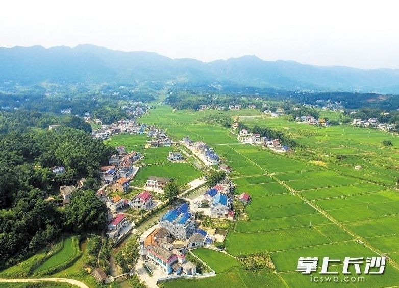 宁乡市巷子口镇▼宁乡市流沙河镇▼宁乡市煤炭坝镇▼浏阳市社港镇浏阳