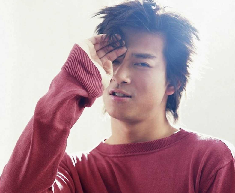 陈晓东在当时与陈冠希,谢霆锋和余文乐并称为"香港四小天王",其中数解