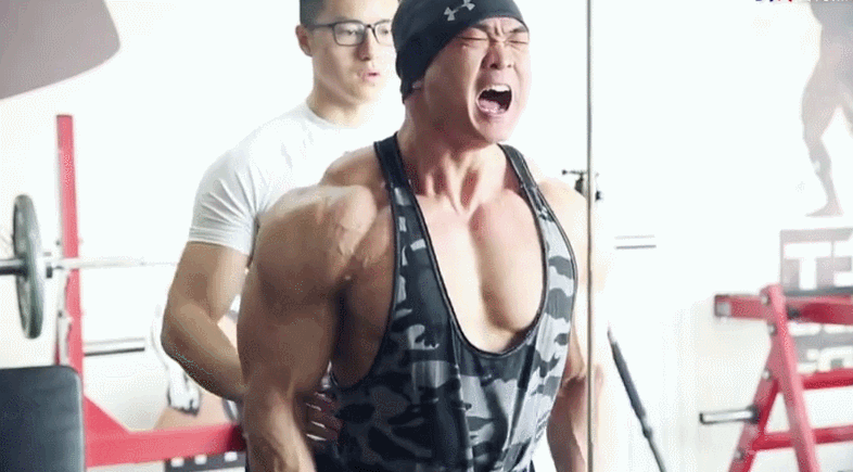 动作二：后束器械训练