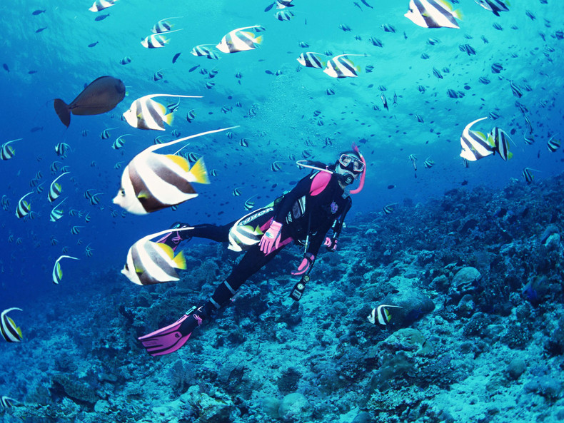 在这里深潜的游客需持有ow国际潜水证,普通游客仅可以在蓝洞体验浮潜