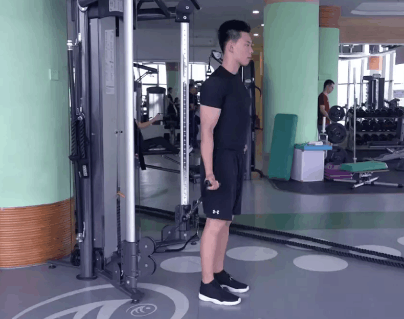 【动作教学】站姿肱二头肌绳索弯举