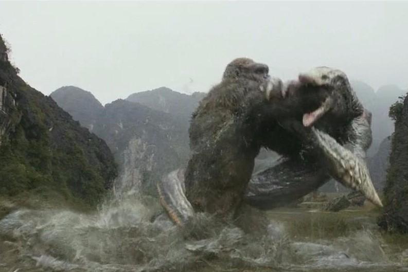 史前巨兽金刚与骷髅蜥蜴大混战,打斗堪称完美无缺!