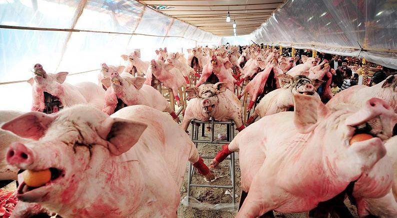 潮州人真敢玩,每到正月里就好烟好酒大操大办,摆千头猪羊拜神