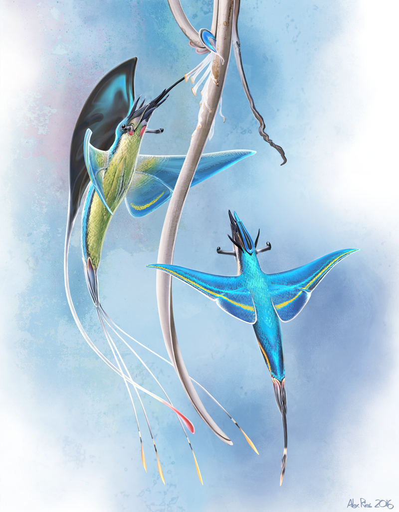 澳大利亚画师绘制的一组概念插画!奇怪的机械和生物简直脑洞大开