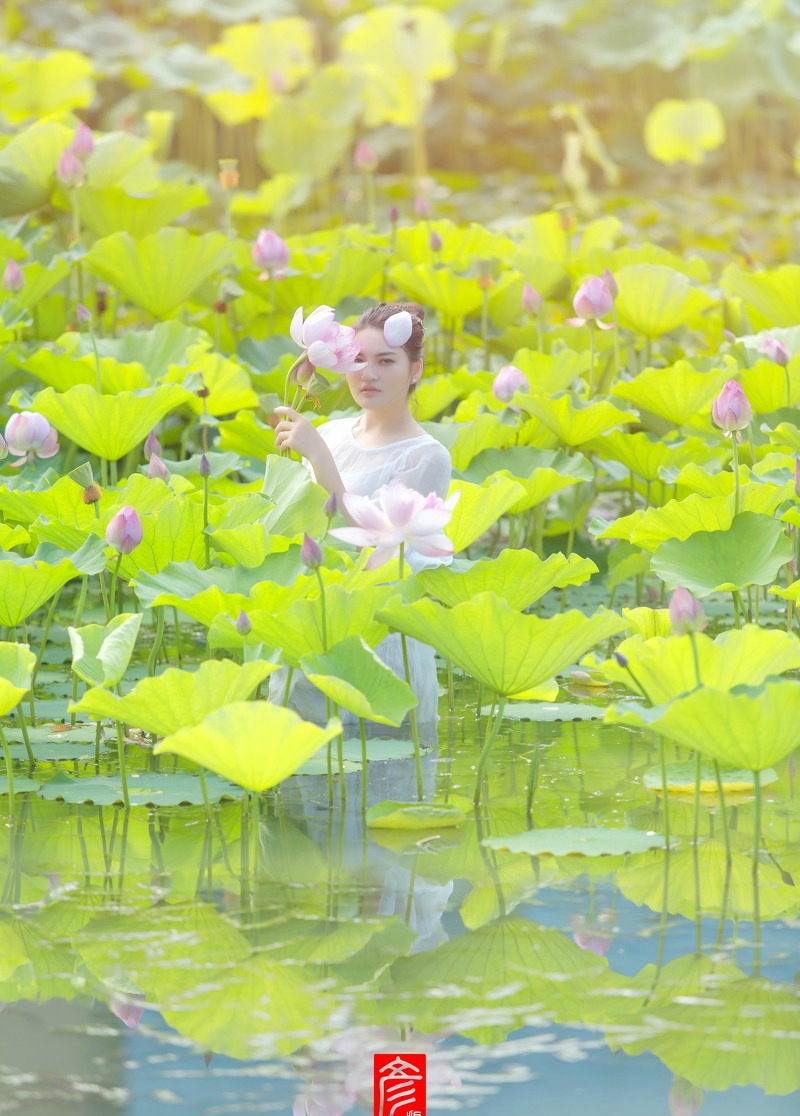 人像摄影,七月荷花