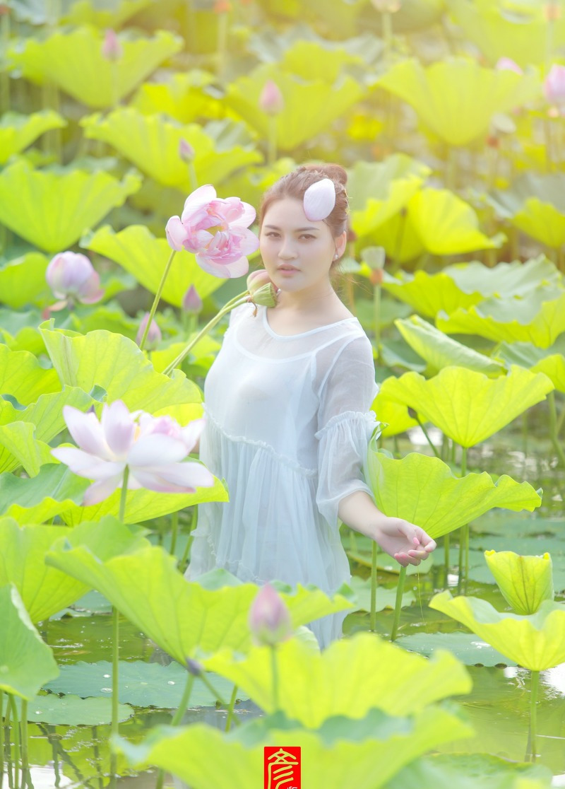 人像摄影,七月荷花
