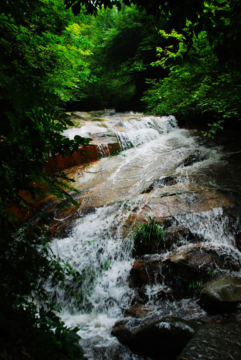 三角山,既有革命遗址,也有历史古寨,更多的是纯粹的自然风光