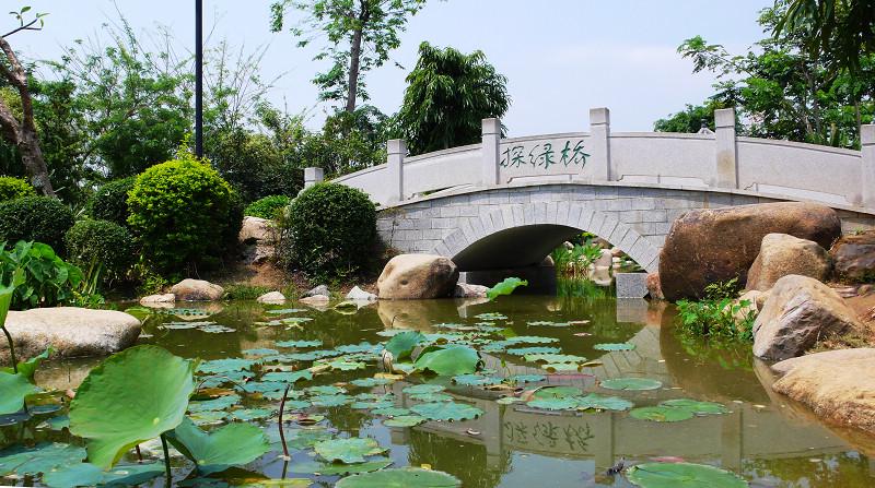 东莞这个公园清溪镇环境最好的公园