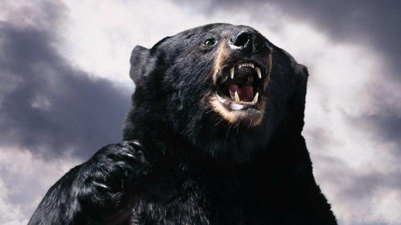 老人口中的"不能被熊瞎子舔脸", 一舔能舔去人畜半个脸!