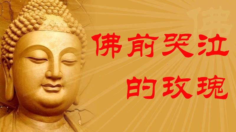 真净心!唱哭了10万佛门中人的《佛前哭泣的玫瑰》,出dj版了!