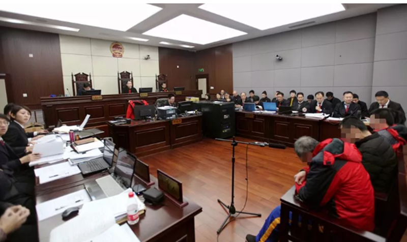 泽雨集团孔令奇等18人涉嫌集资诈骗罪一案开