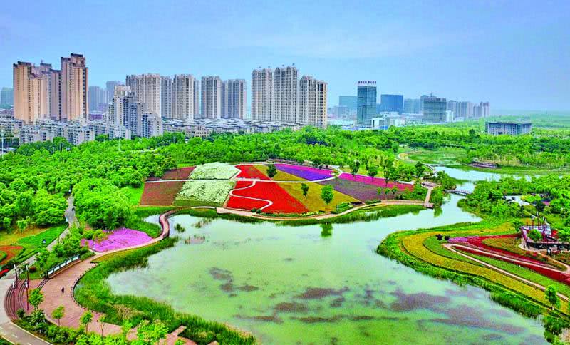 合肥蜀山区将启动庐州公园概念设计 开建约60处街头花境