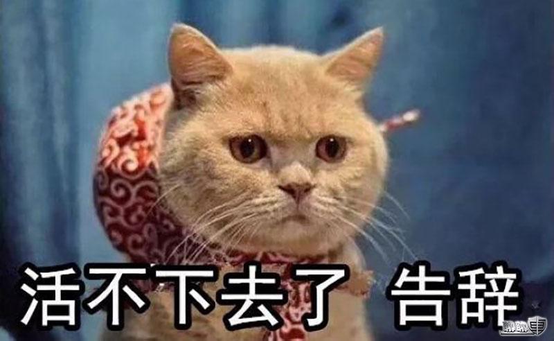 即将购车的北京市民朋友甲:我活不下去了,告辞.