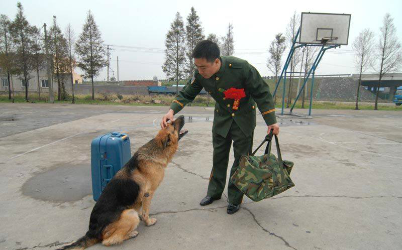 军犬和军人之间那些人狗情未的瞬间,看到最后那张瞬间泪崩