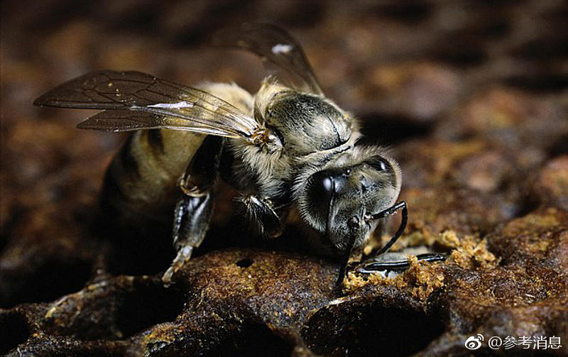 外媒称中韩元首共推两国关系回暖:绝不允许半岛生战生乱