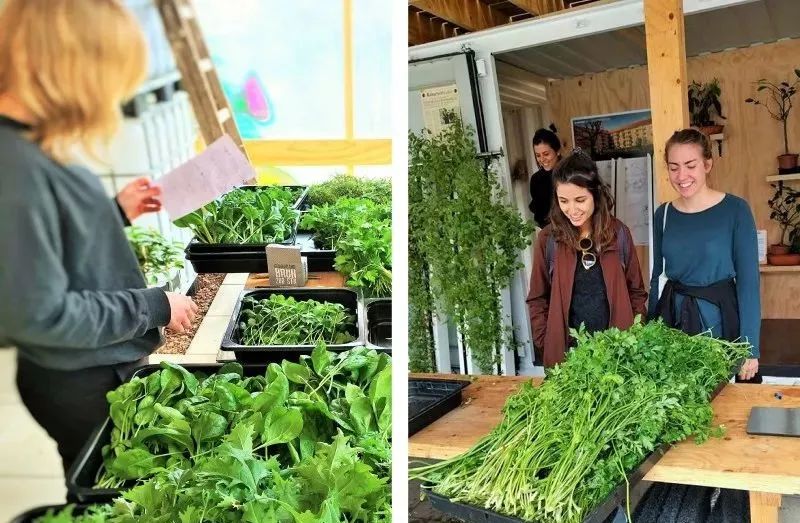 看看国外那些各具特色的农场 极具想象力和生活气息