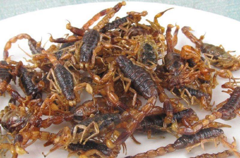 在农村也十分难找野味,你吃过几种?最后一种太好吃了