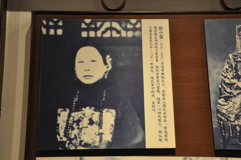 李菊藕嫁给张佩纶,育有一儿一女,女儿叫张茂渊,儿子叫张志沂,是近代