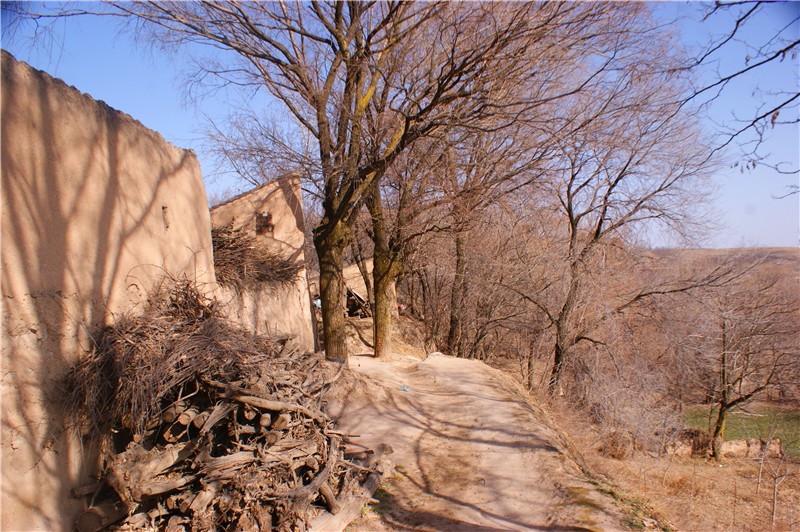 走进甘肃天水清水县土门镇梁山村,体验农村生活感受农村幸福