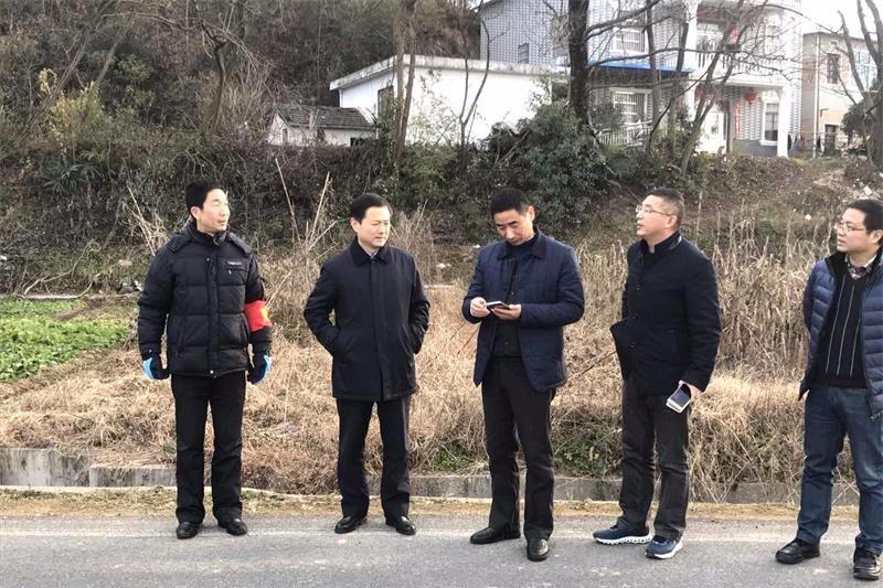 桐城领导市区,城镇督查森林防火文明创建工作