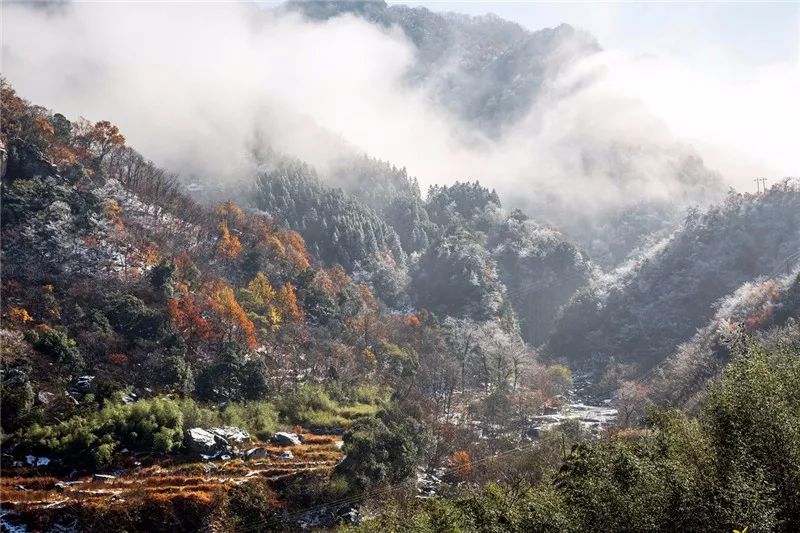 金寨记忆:秀丽大别山,给了我水墨画般的童年!