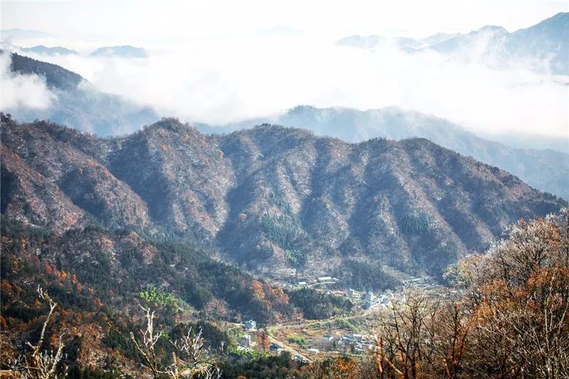 儿时居住在金寨县大山深处一所学校里,背靠着山,山连着水,山水环绕.