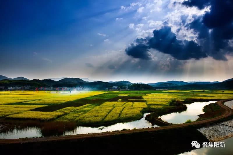 有以亲子教育为主题的开心农场,有抗日战争遗址,莲花池,烽火台,马场