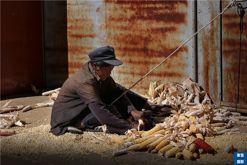 男人外出打工,勤劳的彝族妇女能顶半边天